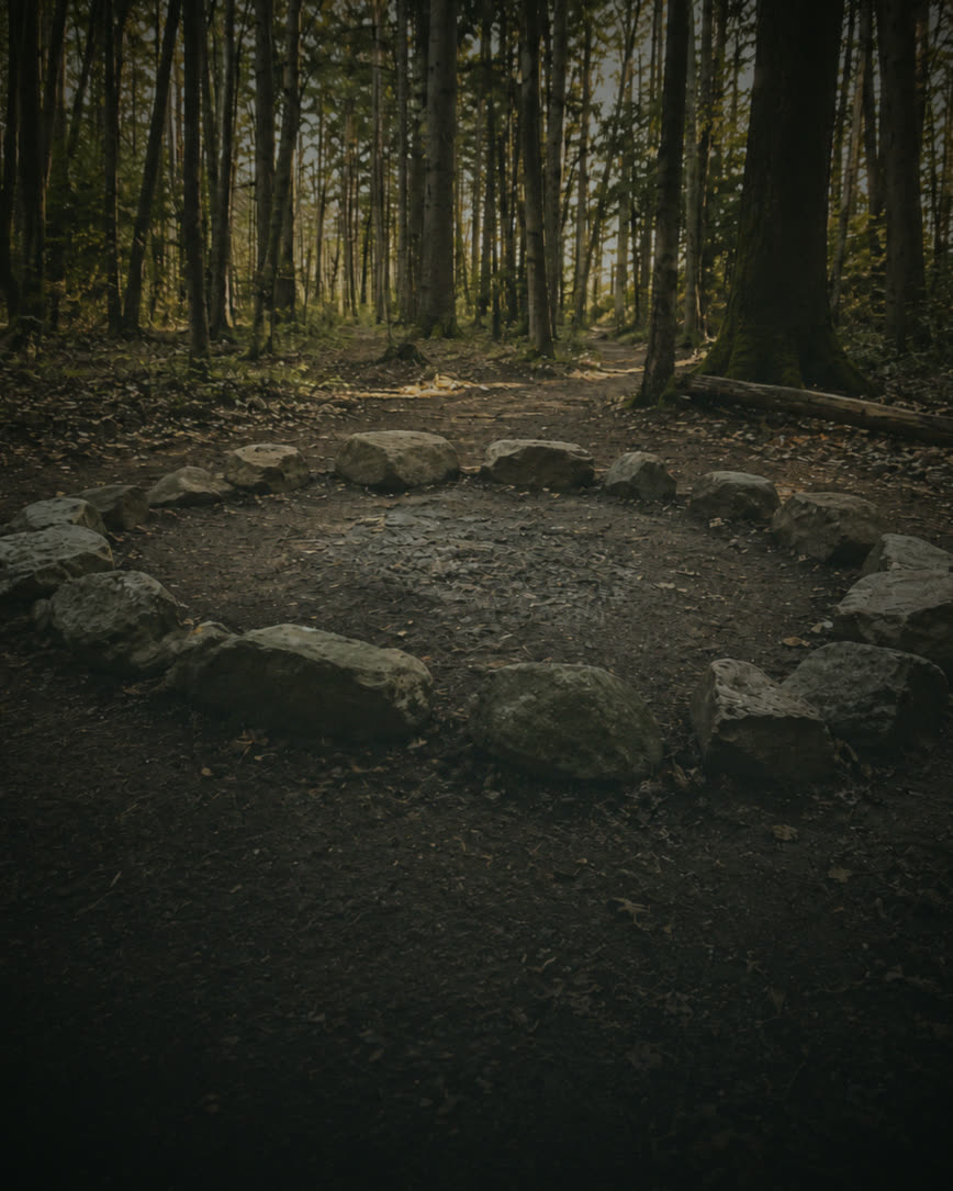 A ring of stones laid on the ground in a quiet forest clearing.