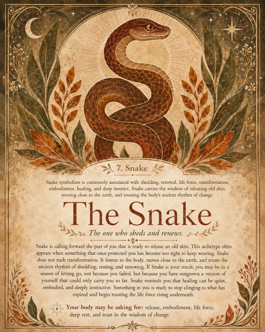 The Snake oracle card